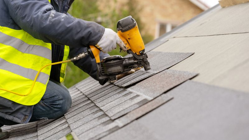 Professional Roofing Service